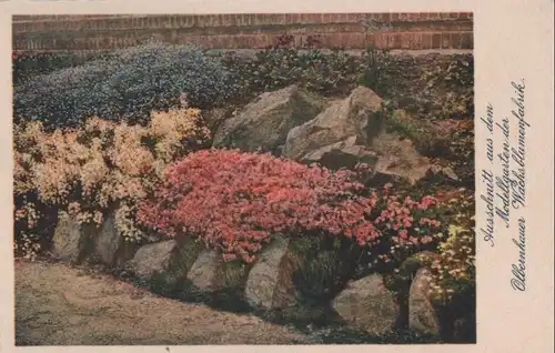 Olbernhau - Modellgarten der Wachsblumenfabrik - ca. 1965