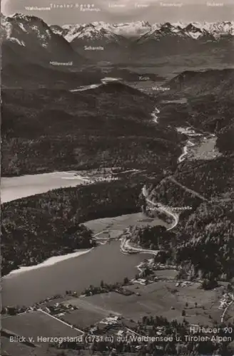 Walchensee - Blick vom Herzogenstand - ca. 1955