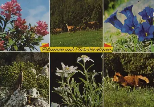 Österreich - Österreich - Alpen - Blumen und Tiere - 1978