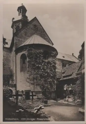 Hildesheim - 1000jähriger Rosenstock - ca. 1950