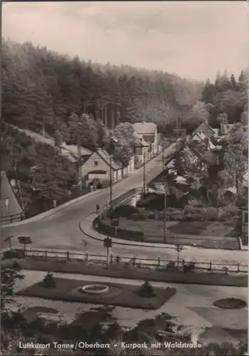 Tanne, Harz - Kurpark mit Waldstraße - 1968
