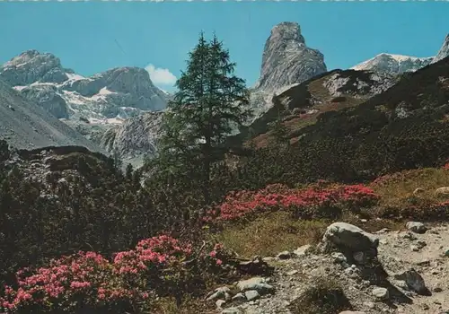 Österreich - Österreich - Hochkönig - Aufstieg - ca. 1980