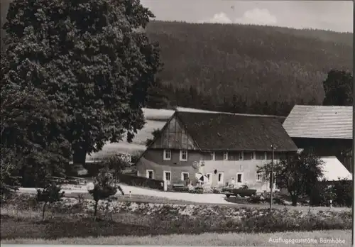 Friedenfels - Ausflugsgaststätte Bärnhöhe - ca. 1965