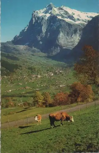 Schweiz - Grindelwald - Schweiz - Wetterhorn