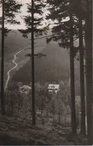 Altenberg-Waldbärenburg - Heuweg - 1965