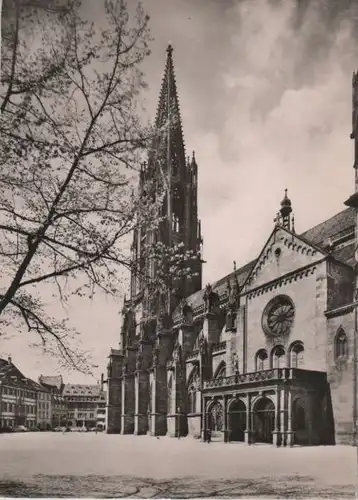 Freiburg - Münster - 1961