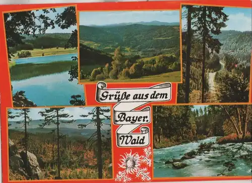 Bayerischer Wald - 6 Bilder