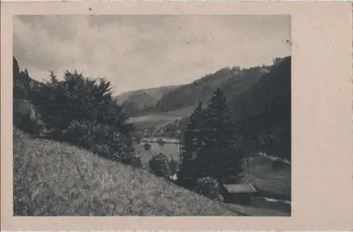 Ein Blick ins Tal - ca. 1955