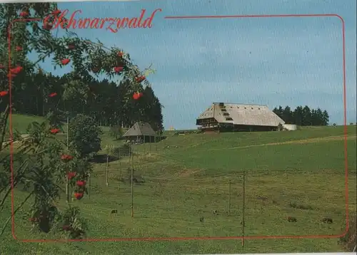 Schwarzwald - Einsamer Hof