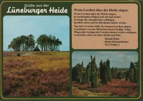 Lüneburger Heide - 1991