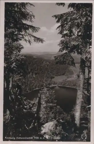 Feldberg / Schwarzwald - mit Feldsee - ca. 1955