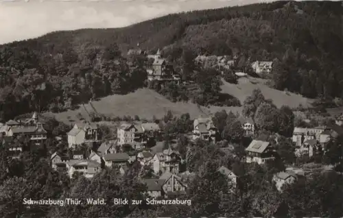 Schwarzburg - Blick zur Burg - 1964