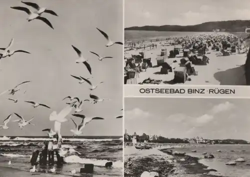 Binz - mit 3 Bildern - 1979