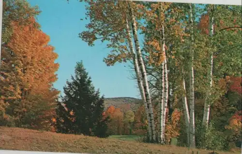 USA - New England - USA - Typical Fall scene