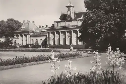 Dresden-Pillnitz - Schloß und Park, Neues Palais - 1975