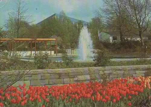 Essen Grugapark - Farbenterrassen - 1968