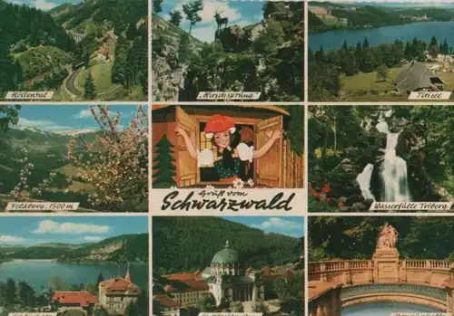 Schwarzwald - u.a. Donauquelle - ca. 1970