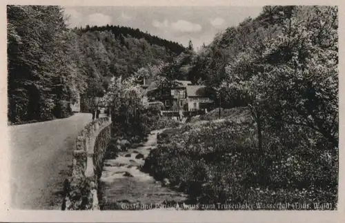 Trusetal - Pensionshaus zum Trusentaler Wasserfall - ca. 1955