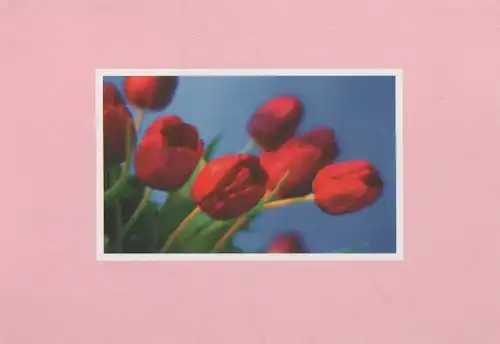 roten Blüten im Wind - 2004