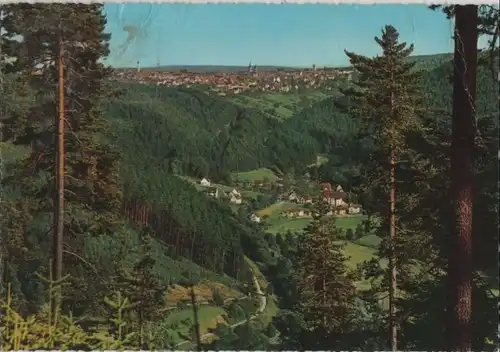 Freudenstadt - Blick vom Friedrichstal - 1967