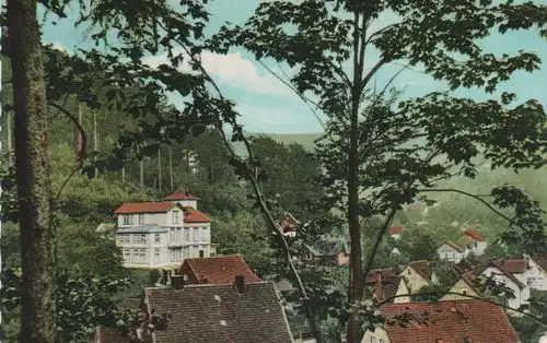 Bad Grund, Harz - Pension Waldhaus - 1964