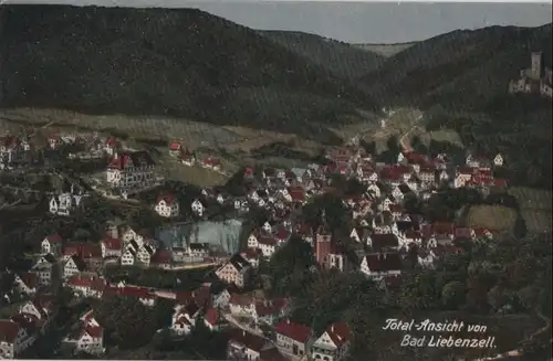 Bad Liebenzell - Total-Ansicht - 1918