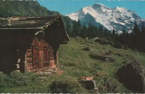 Schweiz - Schweiz - Wangen - Jungfrau - ca. 1965
