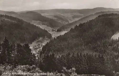 Triberg - Nußbachtal