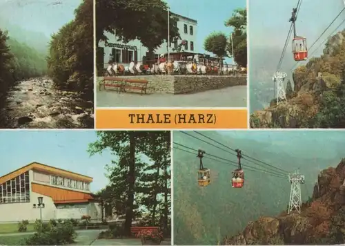 Thale - 5 Bilder