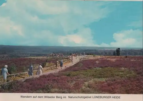 Lüneburger Heide - Wandern auf dem Wilseder Berg - ca. 1965