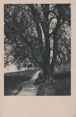 Verschnaufen unterm Baum - ca. 1955