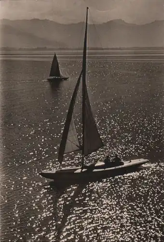 Bodensee - Sommer - ca. 1960