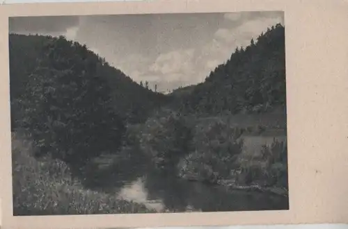 Gewässer im Wald - ca. 1955