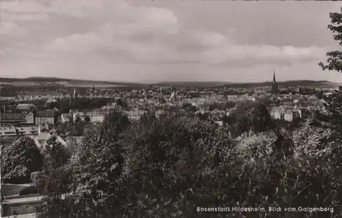 Hildesheim - Blick vom Galgenberg - ca. 1960