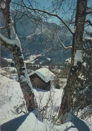 Frankreich - Frankreich - Les Houches - La Flatiere - 1976