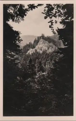 Thüringer Wald - Blick zum Aschenbergstein - 1957