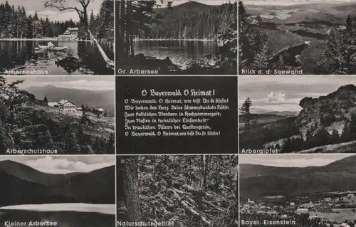 Bayerischer Wald - u.a. Naturschutzgebiet - ca. 1955