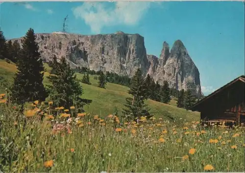 Italien - Italien - Dolomiten - Alpe di Siusi - Seiser Alpe - 1985