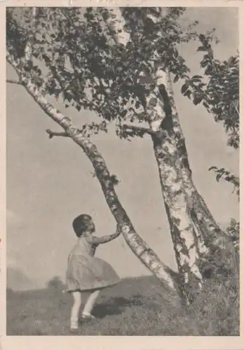 Kind spielt an Birke - ca. 1955