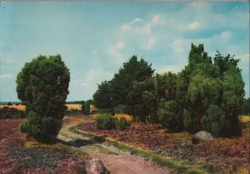 Heidelandschaft - ca. 1975