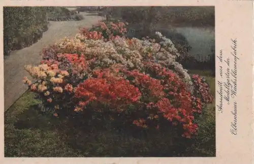 Olbernhau - Modellgarten der Wachsblumenfabrik - ca. 1965