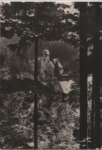 Altenberg-Kipsdorf - Walddurchblick - 1980