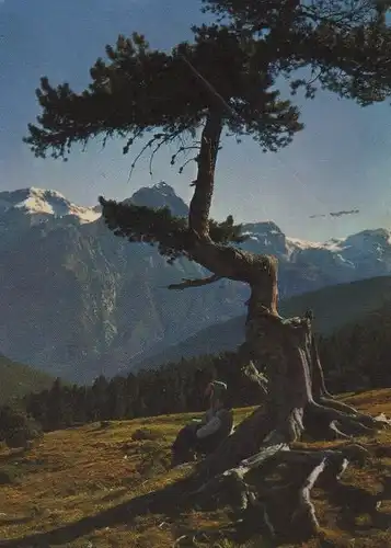 Schweiz - Schweiz - Val Mingèr - Nationalpark - 1962
