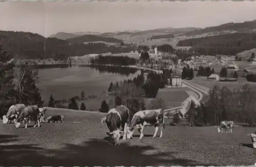 Titisee - 1958