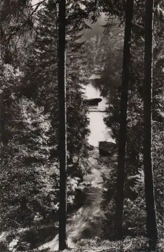 Waldnaab - am oberen Steg - ca. 1960