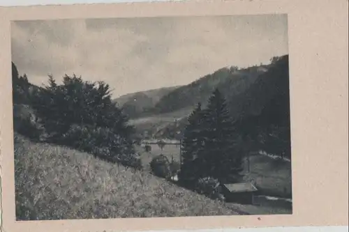 Der Blick hinab in das Tal - ca. 1955