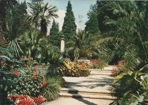 Palmengarten in Bad Pyrmont - 1969