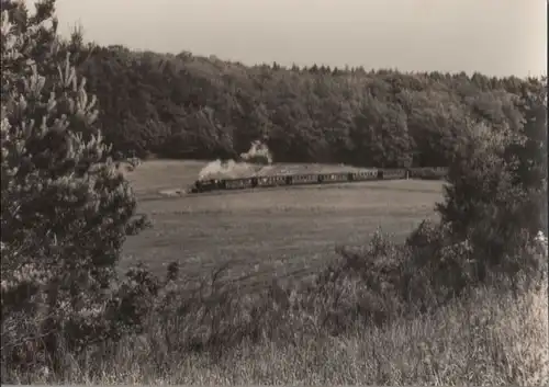 Putbus - Schmalspurbahn nach Gören, bei Seelvitz - 1977
