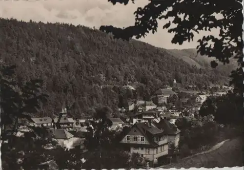 Schwarzburg - Teilansicht vom Schloßaufgang - 1958