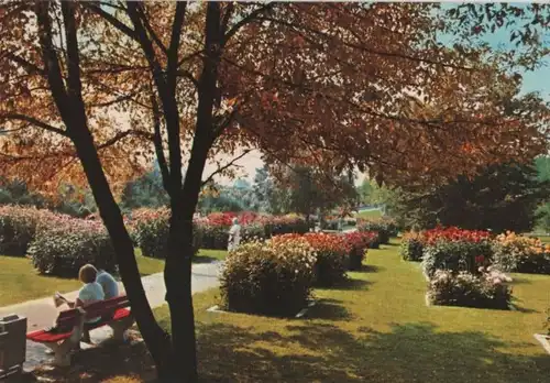 Bad Krozingen - Im Kurpark - ca. 1980